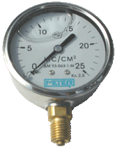 Манометр METER ДМ-93-100 (виброустойчивые с гидрозаполнением). Не поставляем Купить Манометр METER ДМ-93-100 (виброустойчивые с гидрозаполнением). Не поставляем